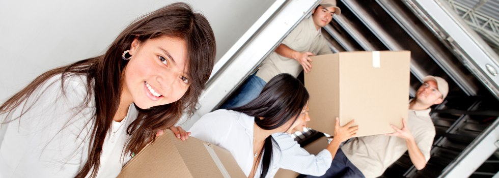 Professional Removalists Hermannsburg